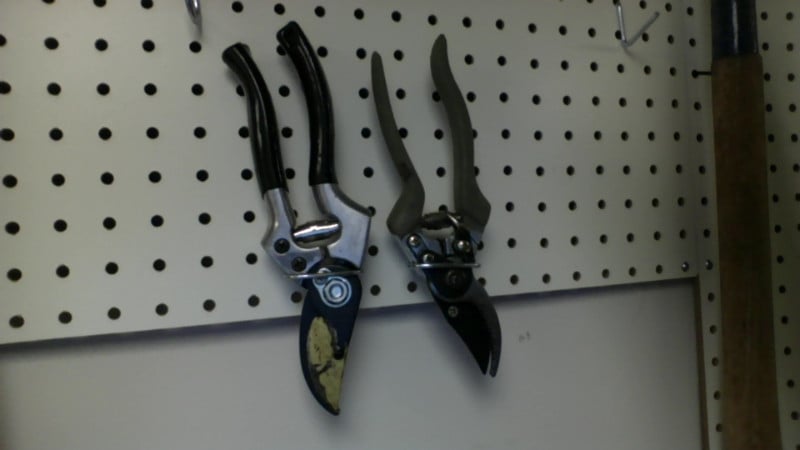 Garden Clippers